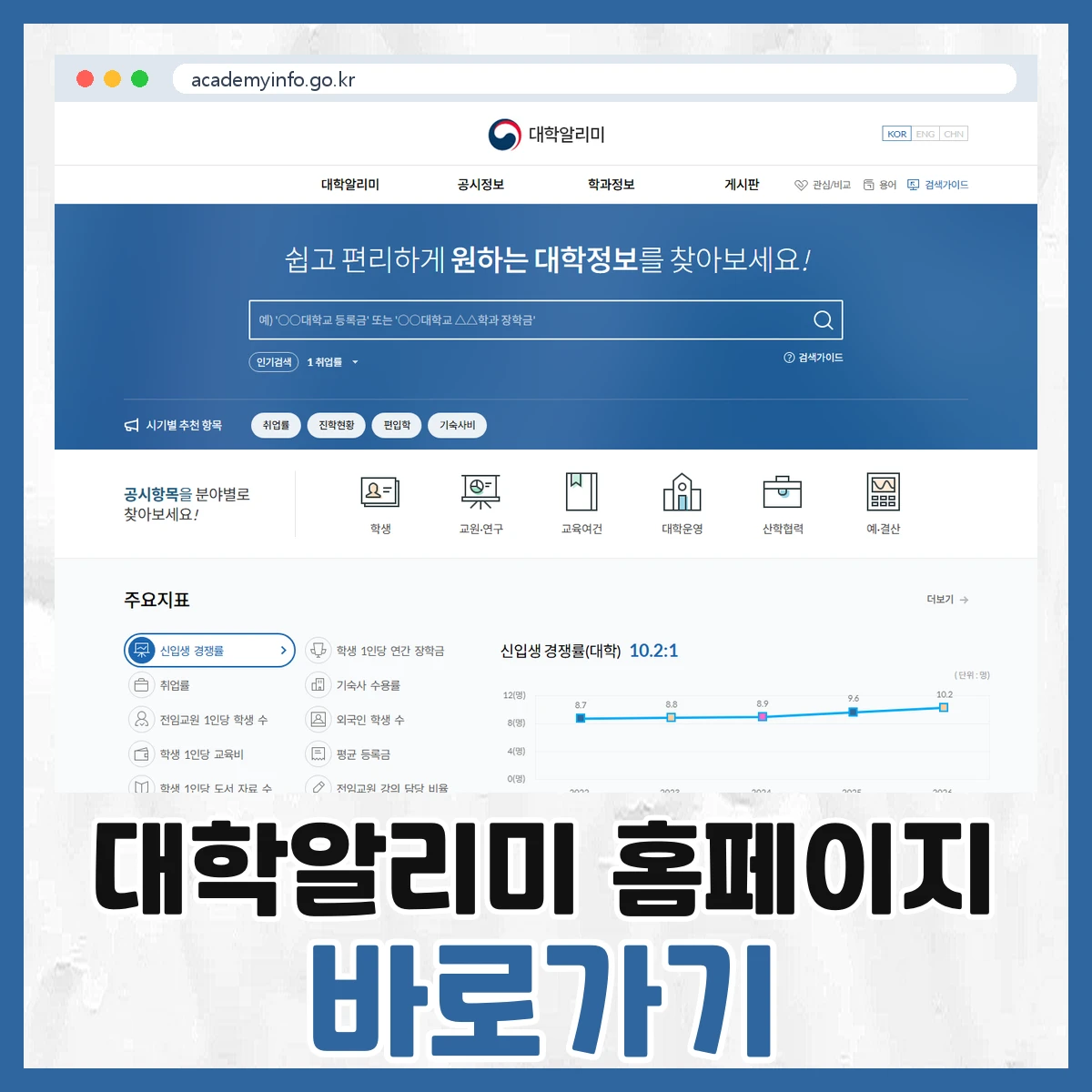 대학알리미